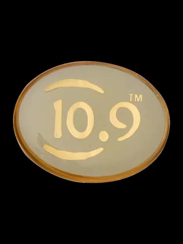 LEPAL PIN - 10.9
